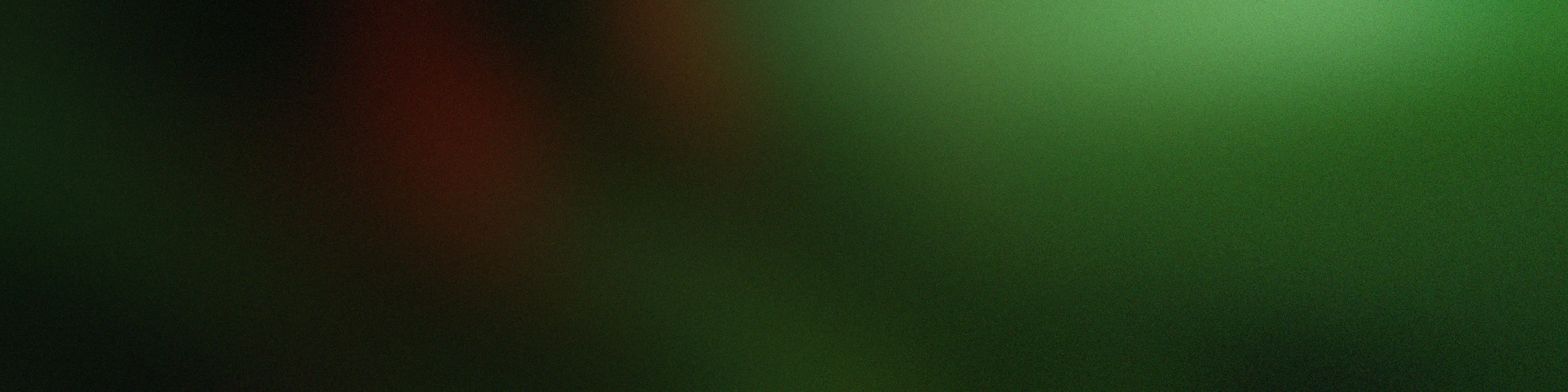 Web Hosting & Support